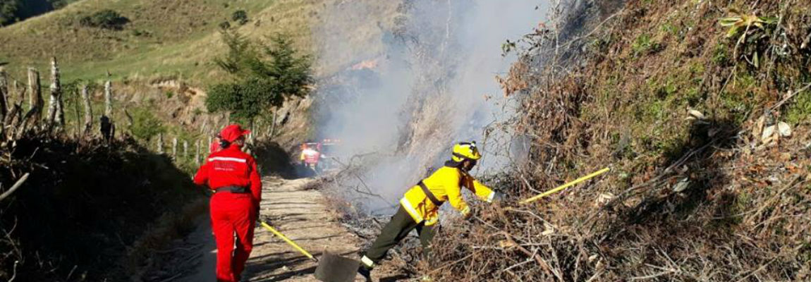 19275295 1273468866104365 6810247098000735824 n