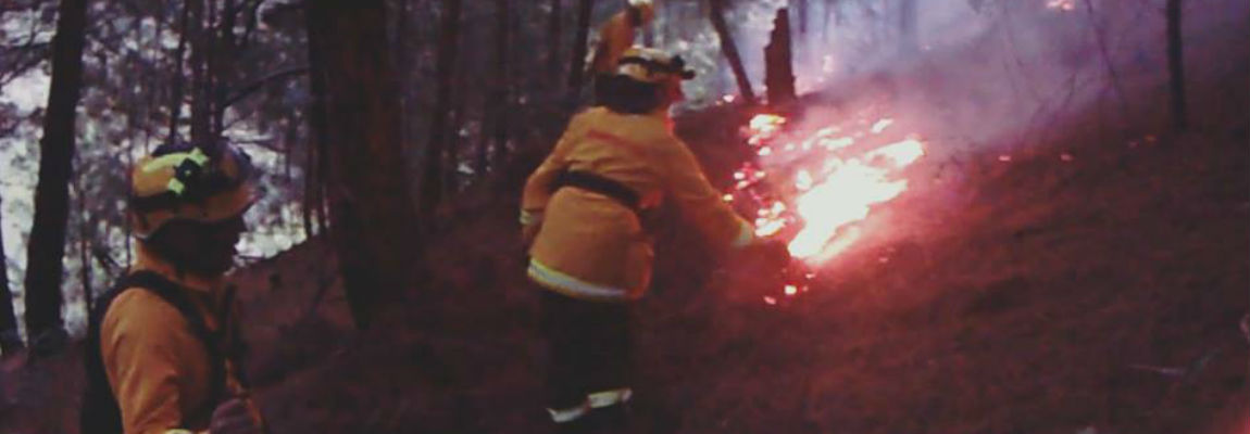 20604742 1319387691512482 1833625299804969075 n56565656