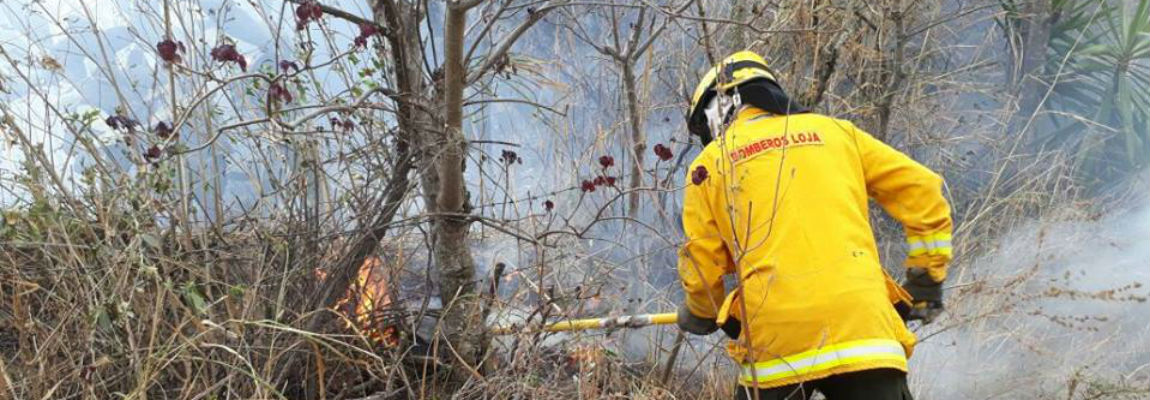 21432819 1351749324942985 5004306178916736127 n344343242