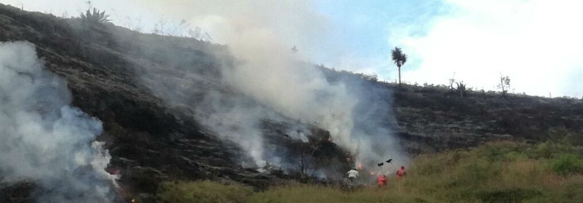 DHbz6tSXoAECnyjfgjcdfgjgfjgfjdf