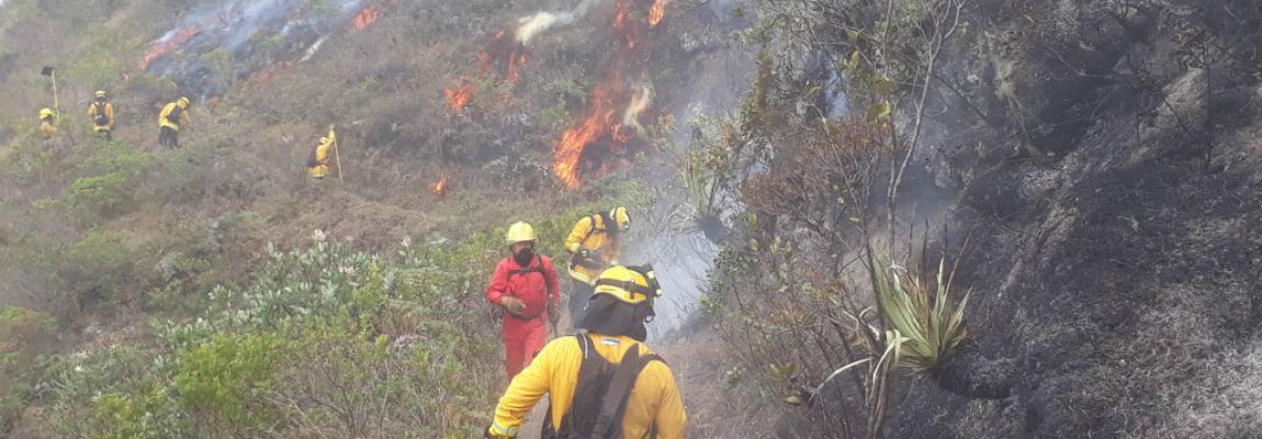 DL8ZabMXcAEyEWkquique