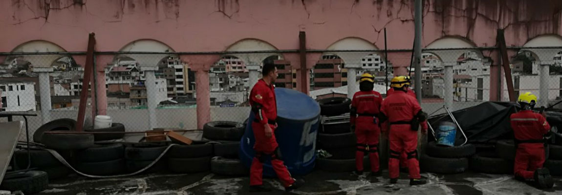 DQ4FWJXWAAArWHN1q1q1q