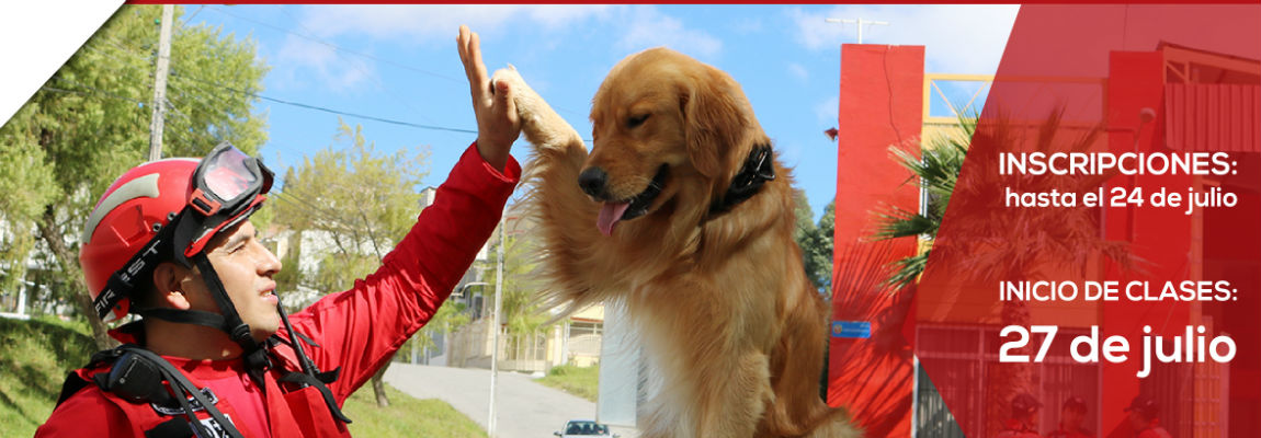 Promo Curso Canino-02