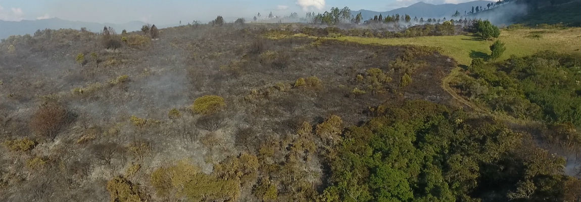 incendio forestal TC7tttttttttttttttttttttttttttt