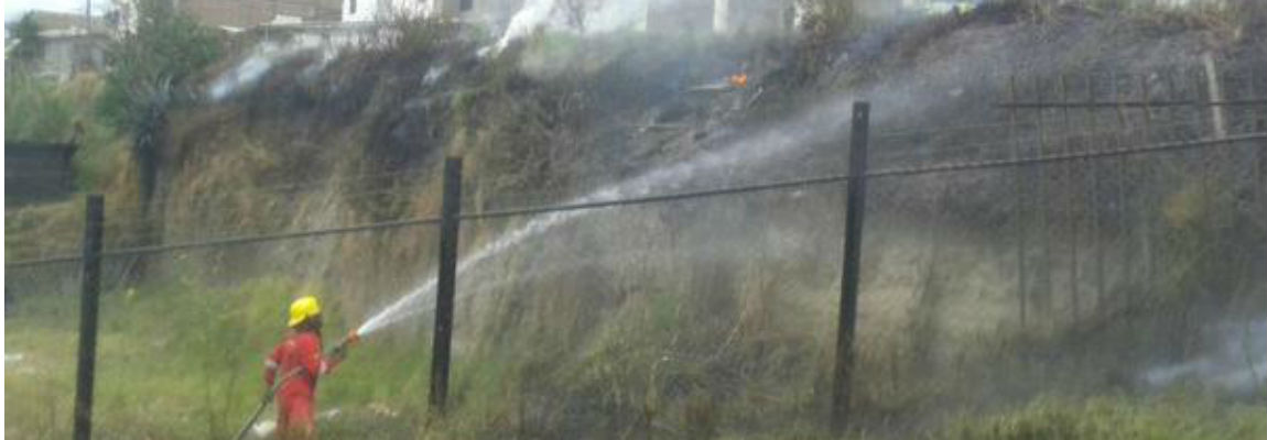 pastizalesgeneralsubir