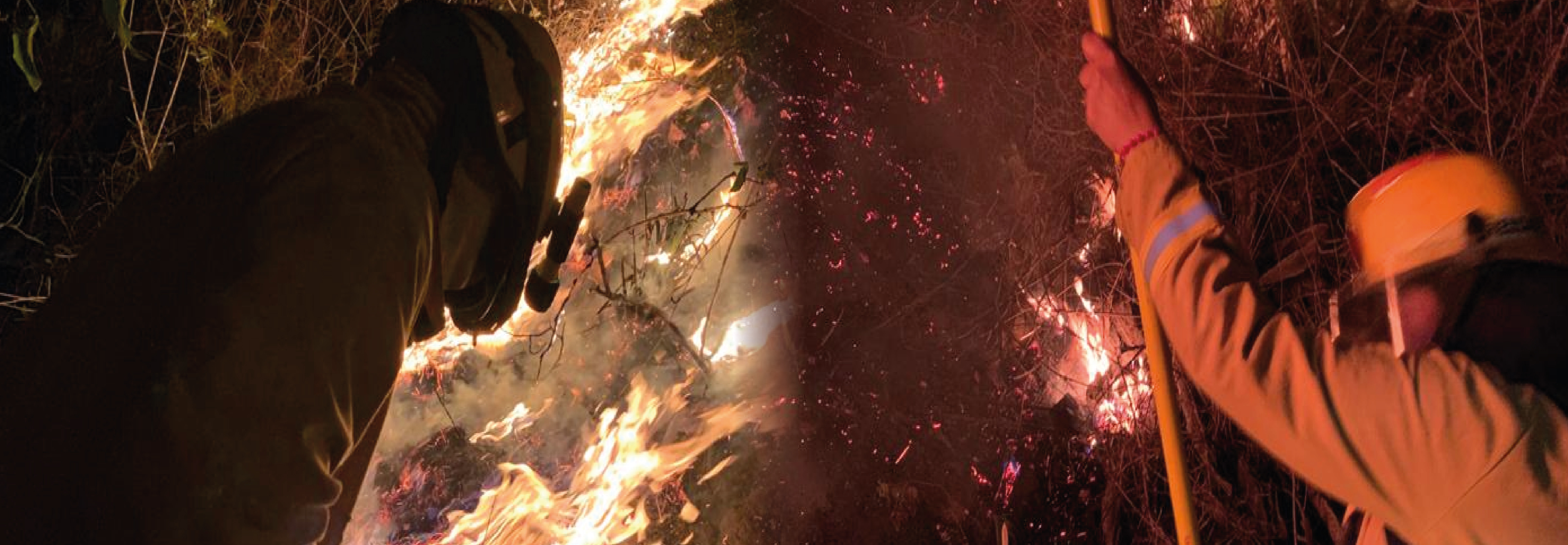 página12 Mesa de trabajo 1 Mesa de trabajo 1